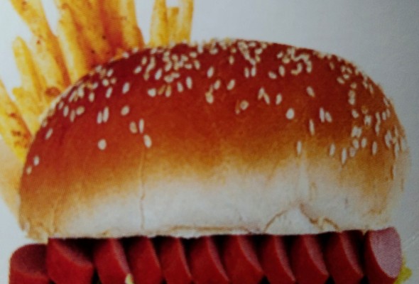 Hot dog burger